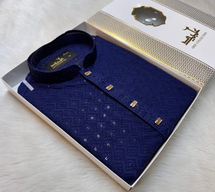 Chickenkari Sequences Punjabi