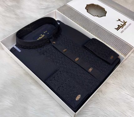 Luxury Sequence Embroidery Punjabi